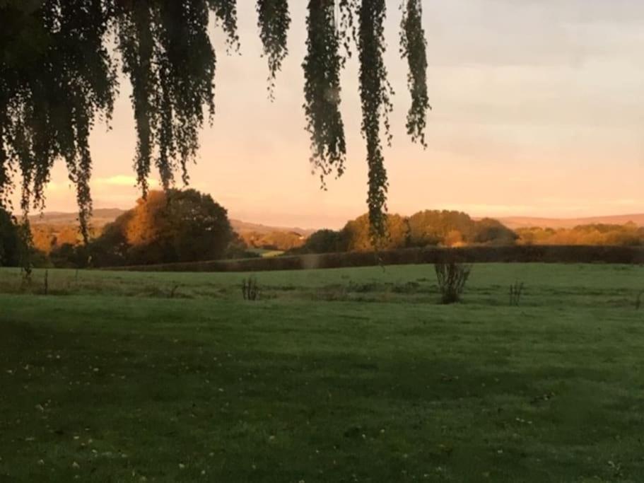 A Luxury Lodge, Log Burner And Incredible Views * Wrexham